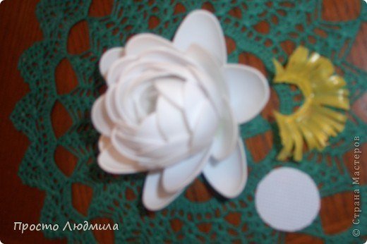 DIY-Plastic-Spoon-Waterlily-Flower