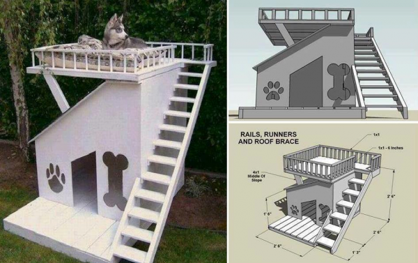 How to DIY Dog-House-with-Roof-Top-Deck