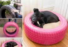How to DIY Comfy Pet Bed with Tire + Video Recycled Tyre Dog Bed tutorials
