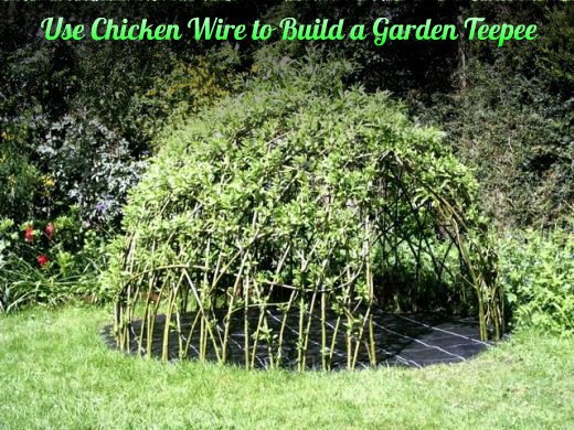 How to Use-Chicken-Wire-to-Build-a-Garden-Teepee tutorial