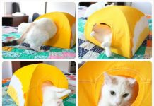 How to DIY No Sew Cat Tent Bed from T-shirt Turn Old T-Shirt into a Cat Tent Tutorial