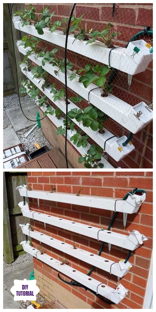 DIY Hydroponic Vertical Pallet Strawberry Planter Tutorial 