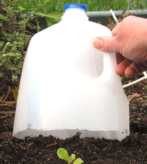 15 Gardening Hacks For A Greener Thumb