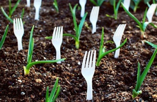 15 Gardening Hacks For A Greener Thumb