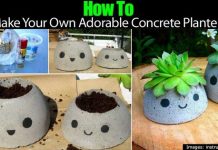 DIY How to Make Your Own Cute Concrete Planters DIY How to Make Your Own Cute Concrete Planters