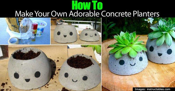 DIY How to Make Your Own Cute Concrete Planters