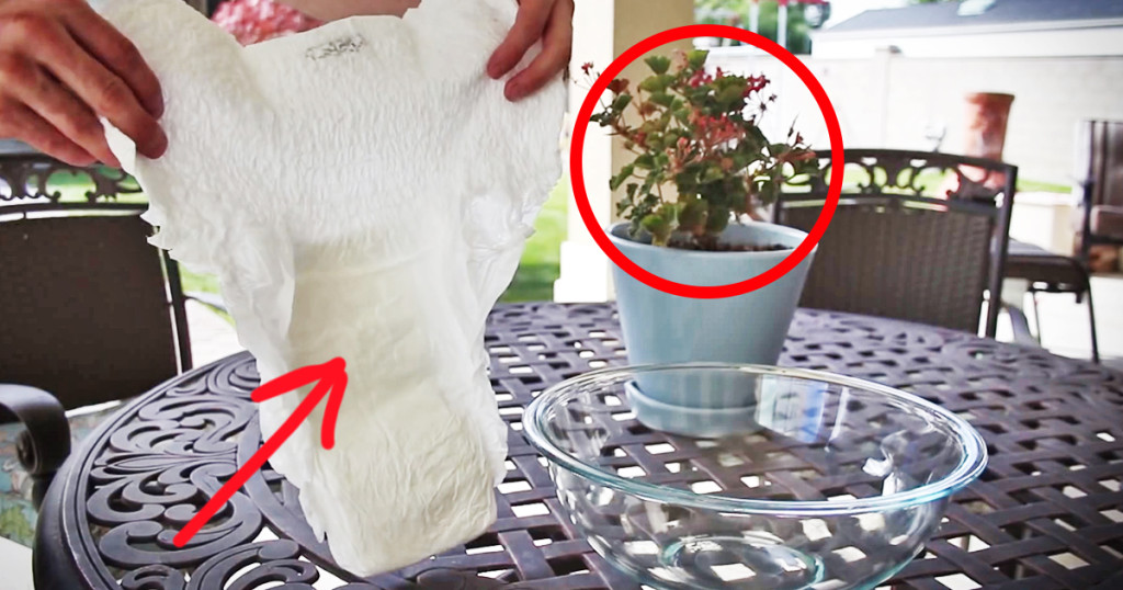 How Diapers Help Your Plants Grow