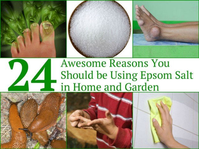 24 Awesome Epsom Salt Uses for Home and Garden - Awesome Reasons You Should be Using Epsom Salt in Home and Garden