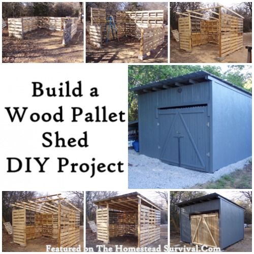 Creative DIY Pallet Storage Ideas and Projects Build an Amazing Wood Pallet Shed DIY Project