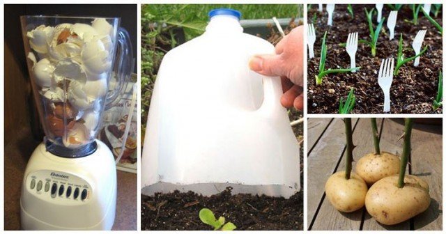 DIY Gardening Hacks For A Greener Thumb