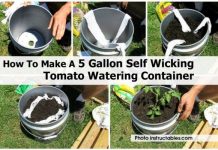 How To Make A 5-Gallon Self Watering Container How To Make A 5 Gallon Self Wicking Tomato Watering Container - video included