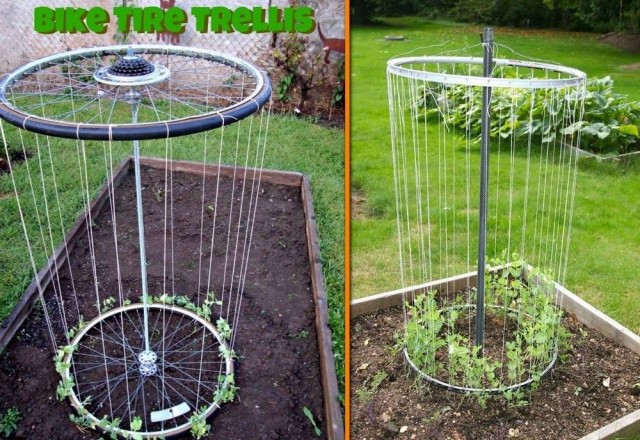 DIY How to Make Bike Rim Trellis for The Garden