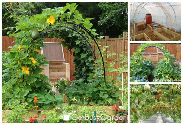 How To Build A Squash Arch How To Build A Squash Arch, Pvc Garden Arch Diy