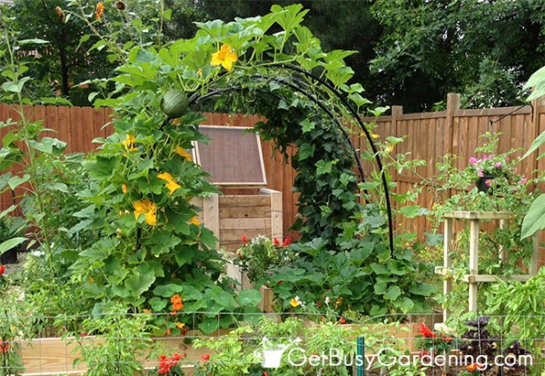 How To Build A Squash Arch, How To Build An Arched Garden Trellis