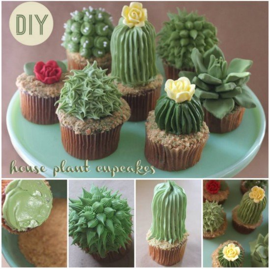 How to DIY Succulent Cupcakes