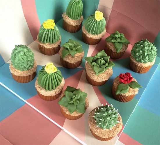 How to DIY Succulent Cupcakes