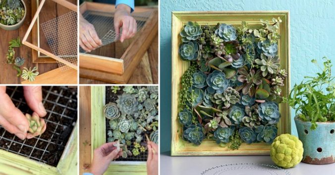 How to Make Living Succulent Picture