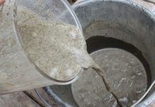 DIY Moss Graffiti: This Guy Executes The Coolest But Most Illegal DIY Project Ever Moss Graffiti - This Guy Executes The Coolest But Most Illegal DIY Project Ever