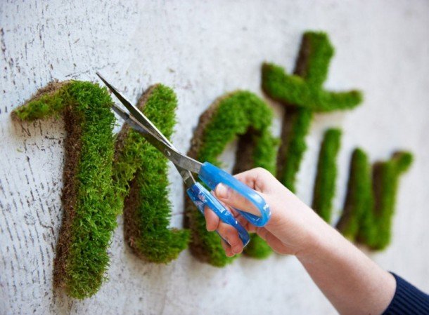 Moss Graffiti This Guy Executes The Coolest But Most Illegal DIY Project Ever