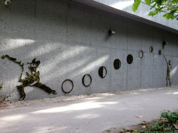 Moss Graffiti This Guy Executes The Coolest But Most Illegal DIY Project Ever