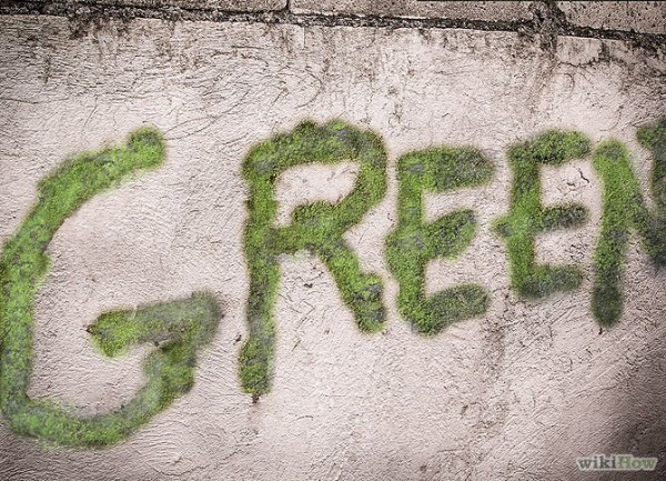 Moss Graffiti This Guy Executes The Coolest But Most Illegal DIY Project Ever