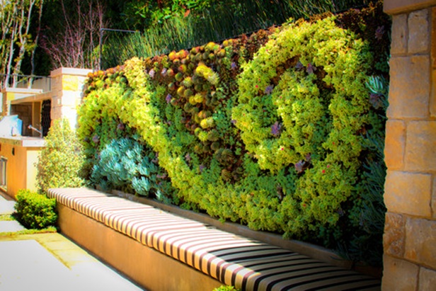 DIY Succulent Garden Wall Decor in Pattern