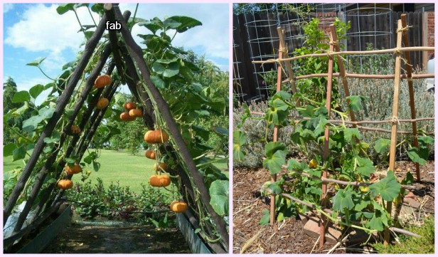 How To Build a Squash Arch DIY Tutorial