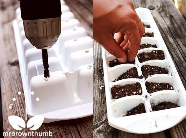 20+ Creative Ways to Use an Ice Cube Tray