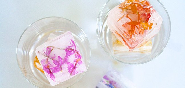 20+ Creative Ways to Use an Ice Cube Tray