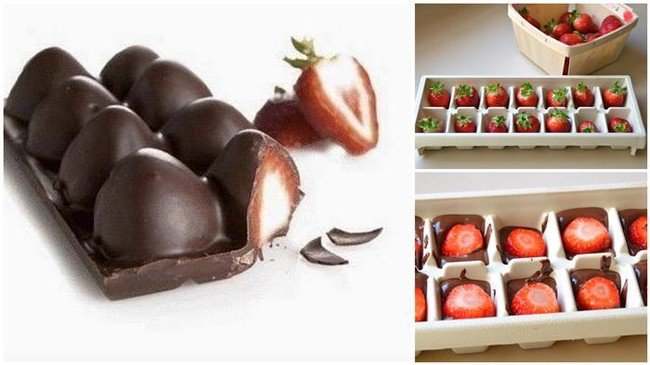 20+ Creative Ways to Use an Ice Cube Tray