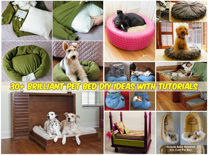 30+ Brilliant Pet Bed DIY Ideas with Tutorials