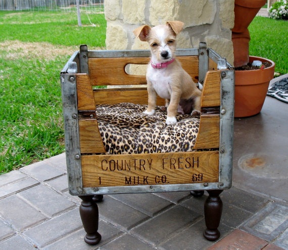 30+ Brilliant Pet Bed DIY Ideas with Tutorials