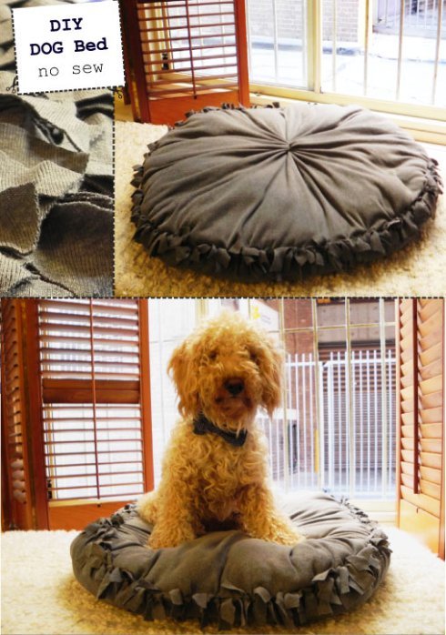 30+ Brilliant Pet Bed DIY Ideas with Tutorials