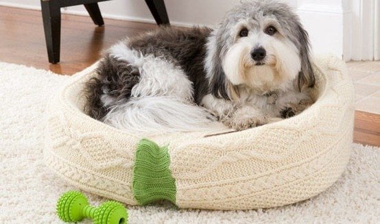 30+ Brilliant Pet Bed DIY Ideas with Tutorials