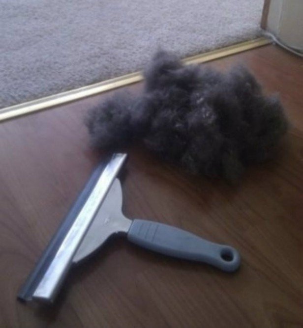 16 DIY Cleaning Hacks - How to squeegee through the carpet to pick up all the unseen pet hair