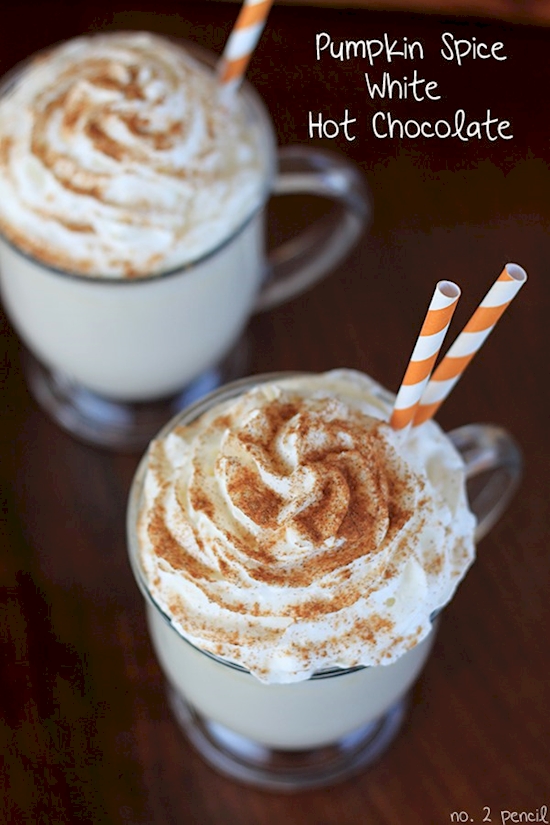 20+ Hot Chocolate Recipes to Keep You Warm This Winter