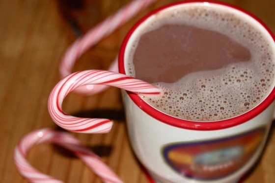 20+ Hot Chocolate Recipes to Keep You Warm This Winter