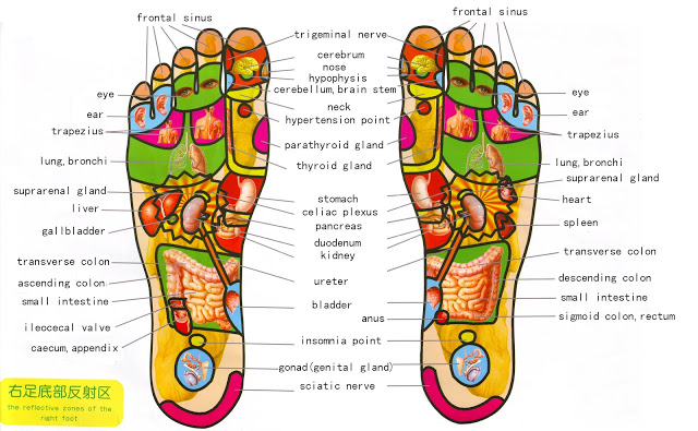 Massage Your Feet Before Sleeping to Boost Your Health - foot Reflexology is the exerting of pressure on targeted areas of the feet (or hands) using the acupressure points found on a reflexology foot chart.