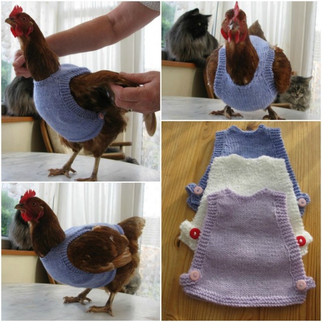 DIY Knit Chicken Jumper Sweater (Written Pattern)