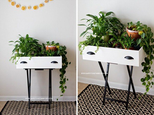 15 Creative Ways to Recycle Your Old Dresser Drawers-Drawer Plant Stand