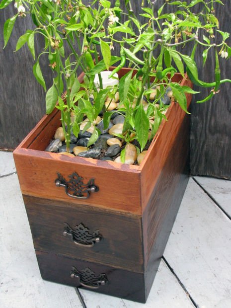 15 Creative Ways to Recycle Your Old Dresser Drawers -Self-watering Planter