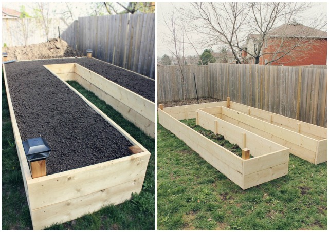 DIY U-Shaped Raised Garden Bed for Easy Access