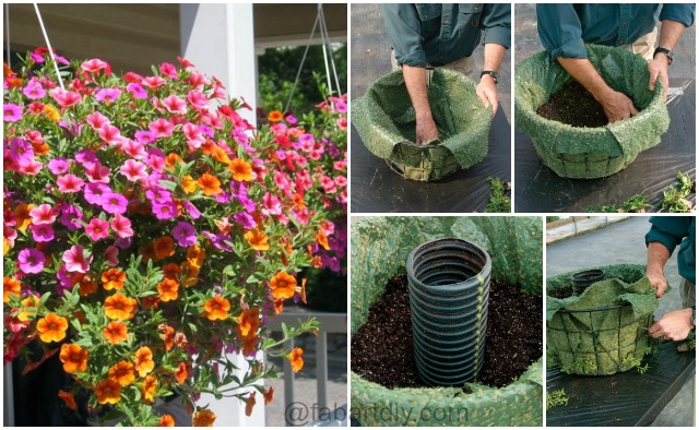 How to Build A Hanging Basket