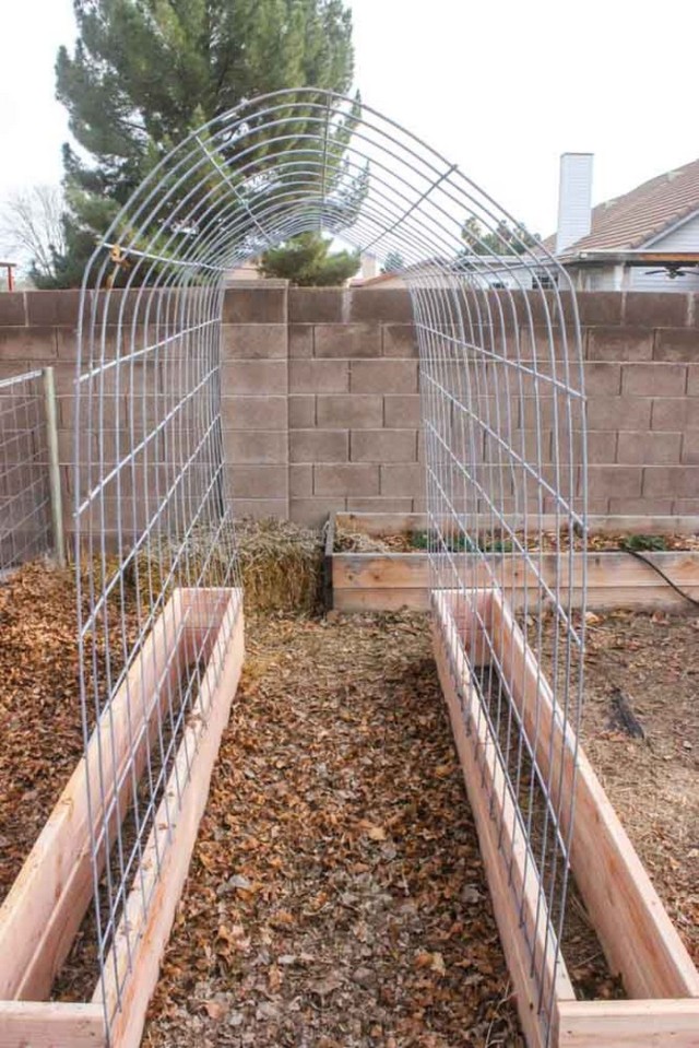 DIY Trellis Raised Garden Box