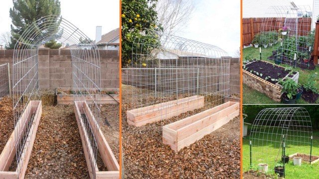 DIY Trellis Raised Garden Box