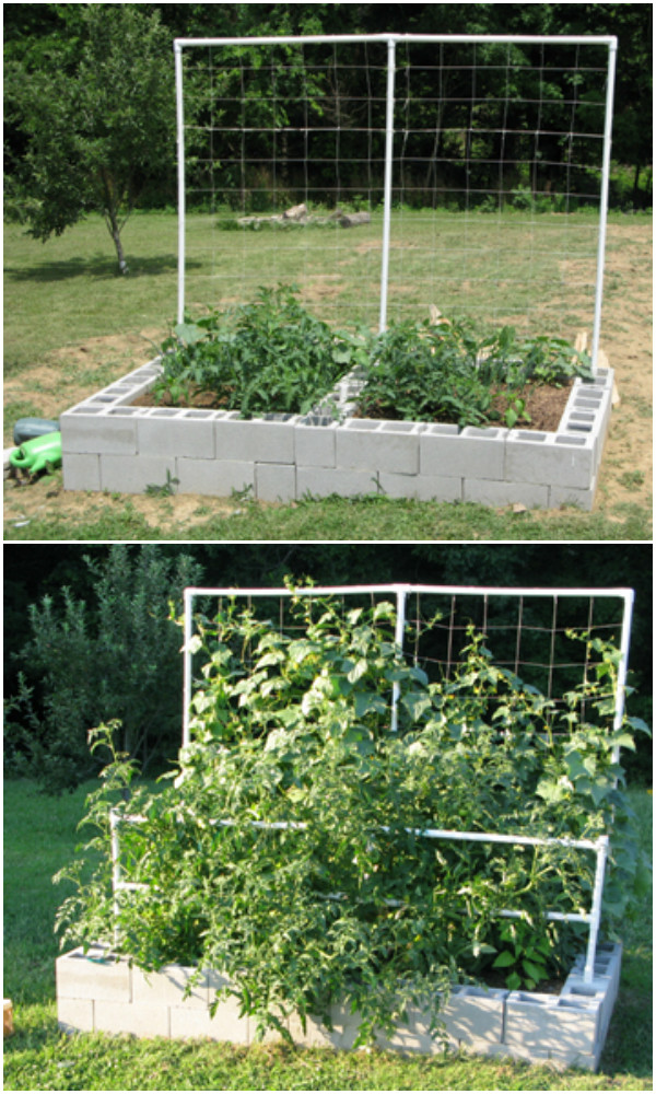 10 Amazing Cinder Block DIY Ideas and Projects-concrete cinder block raised garden bed
