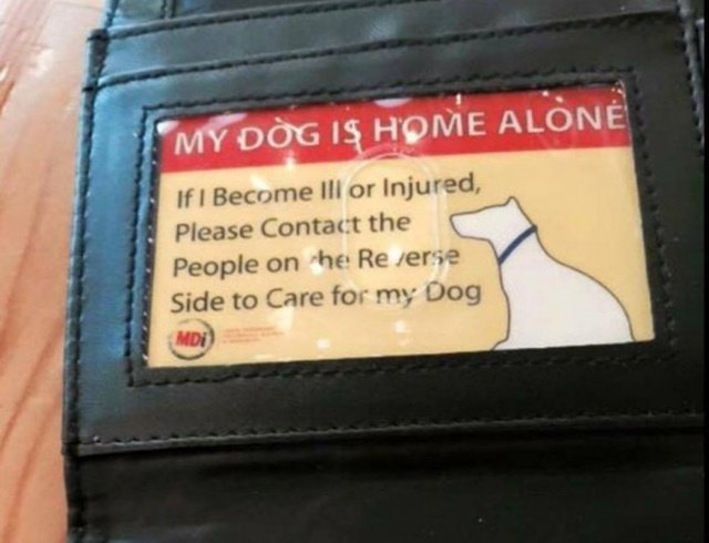 DIY Pet Care Emergency Wallet Card