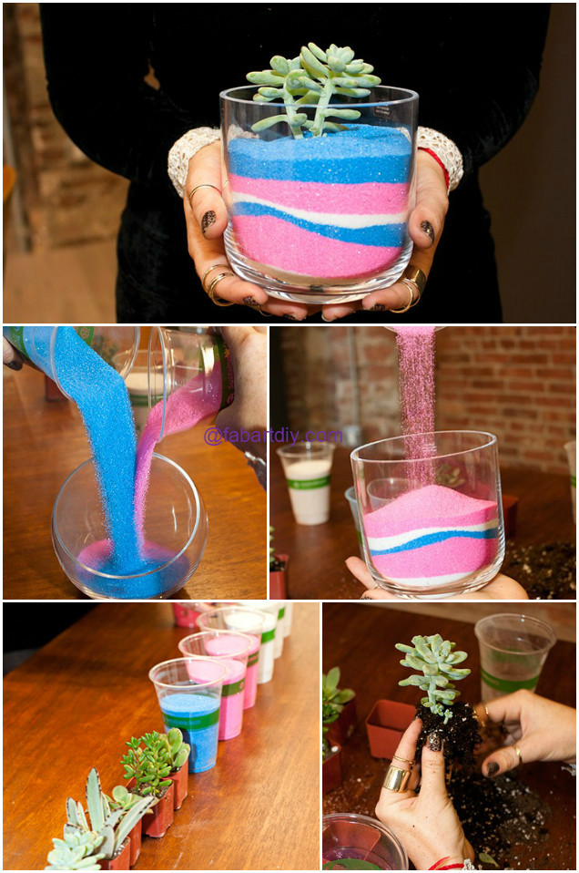 DIY Colorful Sand Terrarium Tutorials - Succulent Sand Art Terrariums