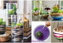 Clean Colorful Sand Terrarium DIY Tutorials DIY Colorful Sand Terrarium Tutorials