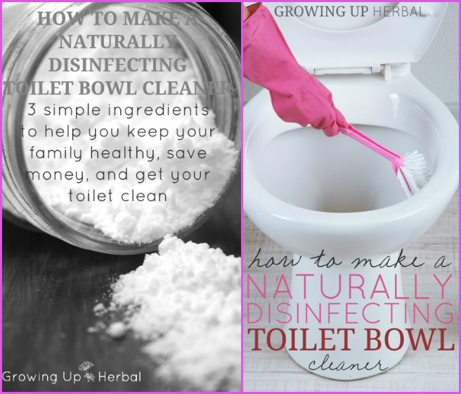 DIY Naturally Disinfecting Toilet Bowl Cleaner Recipe